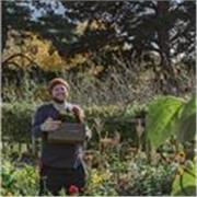 I have an MSc in Systemic Sustainability, have experience working with neurodiverse students, and excellent communication skills.