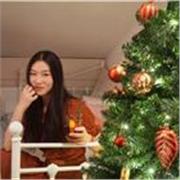 Chinese Tutor providing lessons face to face or webcam