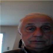 Docente pluridisciplinare in materie umanistiche e diritto