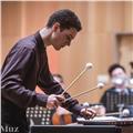 Profesor de percusión especializado en marimba, de forma presencial u online