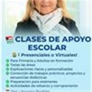 Clases particulares online ,por zoom o meet