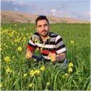 English language teacher and translator from English to Arabic and Kurdish and vise versa