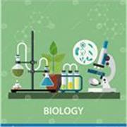 Ciao a tutti! Sono Agnese 🙂
Sono una dottoranda in biochimica e biologia molecolare