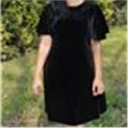 English tutor who teaches upto 1 to 10th grade