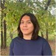 Tutor de Matemáticas y Programación en Python