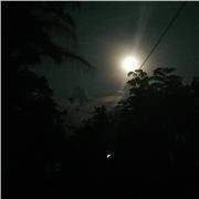 Profesora de lengua castellana con 15 años de experiencia, método de trabajo consteuctivista, con innovación y empatia para realizar mi trabajo