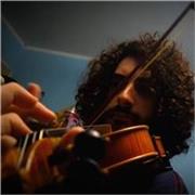 Insegnante di violino, teoria, solfeggio