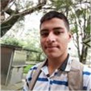 Formador en matematicas basicas, enfocado en operaciones basicas ecuaciones y analisis de preguntas para matematicas de bachiller