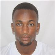 Etudiant titulaire d'un master 2 en Environmental Economics and natural resouces management, je donnerais de cours en Anglais!