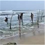 Llevo 15 años dando clase de ESO y Bachillerato. Mucha experiencia 