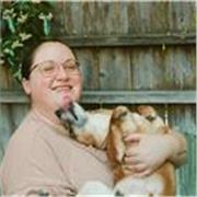 English Tutor with years of experience