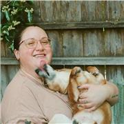 English Tutor with years of experience