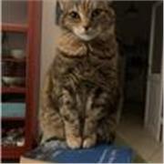 Laureata in Lettere Classiche con lode. Insegnante di ripetizioni da 20 anni. Da 15 anni lavoro nella comunicazione e con la scrit