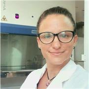 Metodología de la Investigación - Nivel Terciario