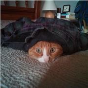 Professeur de soutien scolaire toutes matières niveau collège