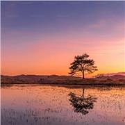 Studentessa di un istituto tecnico superiore