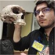 Clases particulares en cualquier tema de biología (nivel secundaria a licenciatura avanzada), química, física o matemáticas (nivel secundaria a licenciatura inicial)