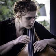 Musicista professionista impartisce lezioni di basso elettrico e teoria musicale!