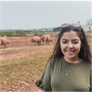 Maths teacher providing tutoring to children aged 10-16 with a potential to support primary age