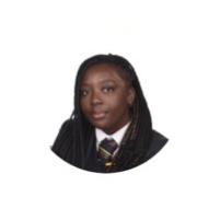 I am a patient person and my lessons would me aimed towards primary school students.