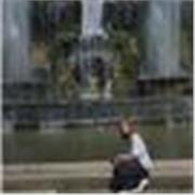 Studentessa di scienze politiche propongo lezioni o aiuto compiti.