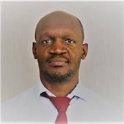 Native English speaker with over 10 years of experience