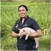 Clases de todas las materias apoyo y repaso