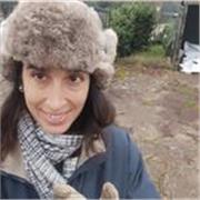 Offro lezioni da remoto di italiano, storia, aiuto compiti medie