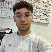 Ich gebe Nachhilfe mit Leidenschaft und freue mich Schüler zu ihrem Abschluss zu führen