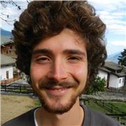 Insegnante per aiuto compiti in tutte le materie