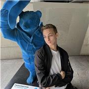 Private lessons aimed at achieving a 9 for GCSE history, especially for, but not limited to Cambridge International course.