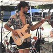 Guitariste de formation et bassiste jazz, je propose des cours de guitare (pop-rock, manouche, jazz) et de basse (tout styles).