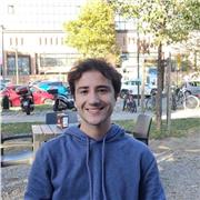 Laureato magistrale in ingegneria biomedica offre ripetizioni per matematica, fisica
