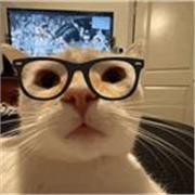 Soy profesora particular que imparte clases mayormente a jóvenes de primaria y de la eso, a parte de matemáticas puedo enseñar más