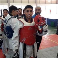 Profesor de taekwondo wt, maestro 4to dan