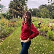 Spanish tutor for all ages, primary to University standard
