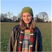 History Tutor for A-level and GCSE students