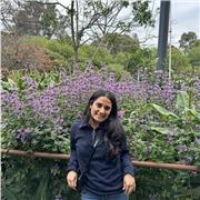 Aashna