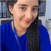 Piano flute violin and musical language lessons