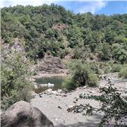 Laureata in Lingue (inglese e spagnolo) offre ripetizioni e aiuto compiti di tale disciplina. Contattare via mail o whatsapp