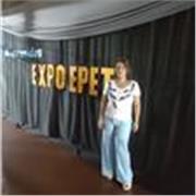 Profesor de informatica, para principiantes y avanzados