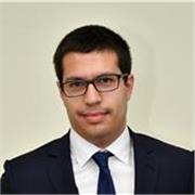 Laureato magistrale in Ingegneria Edile presso il Politecnico di Torino impartisce lezioni ripetizioni e correzione elaborati di S