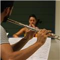 Clases de flauta travesera y/o lenguaje musical
