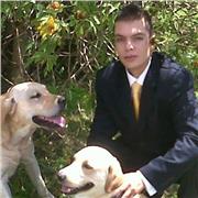 profesor de español, cienv¿cias sociales, psicologia del desarrollo