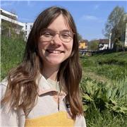 Mathe-Nachhilfe von der Grundschule bis zum Abi :)