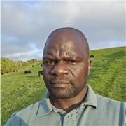 Steward Chigariso