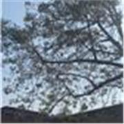 I give private lessons tailored to your learning and needs.