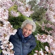 Englischlehrer, der Kinder und Erwachsene jeden Alters unterrichtet