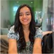 Profesor de matematicas con experiencia en primaria, secundaria y universidad