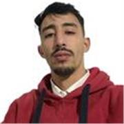Professeure native d'arabe littéraire et dialectal - Cours pour débutants et avancés en France
